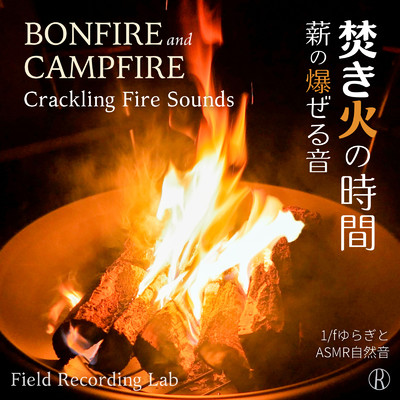 焚き火と雨音 - 雨の日のキャンプ/Field Recording Lab