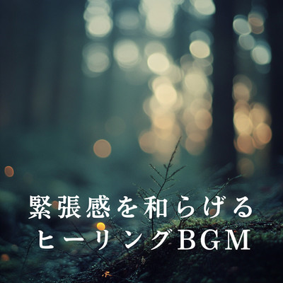 Enchanted Stillness of Night/Relaxing BGM Project