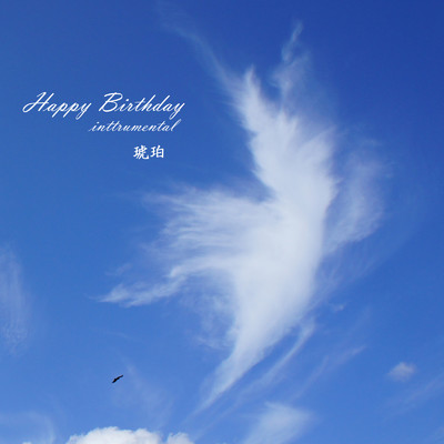 Happy Birthday/琥珀