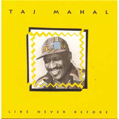 Take All The Time You Need/Taj Mahal
