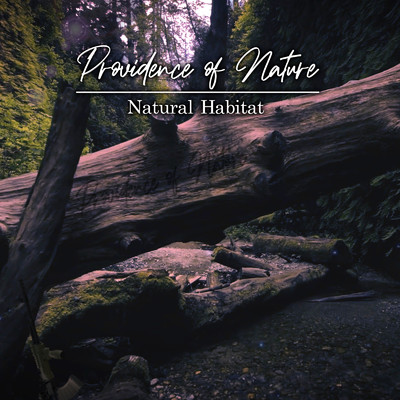 シングル/Providence of Nature/Natural Habitat