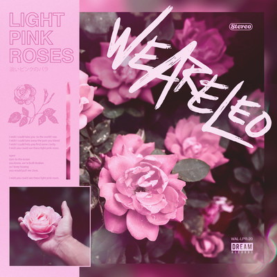 Light Pink Roses/We Are Leo
