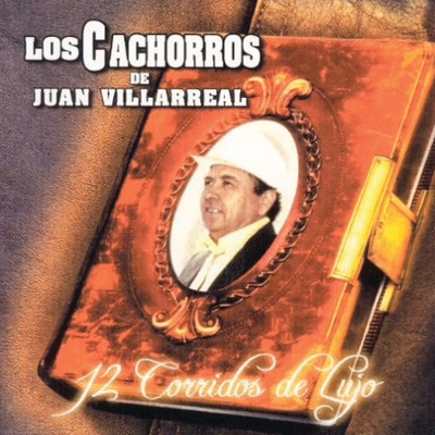 アルバム/12 Corridos De Lujo/Los Cachorros De Juan Villarreal