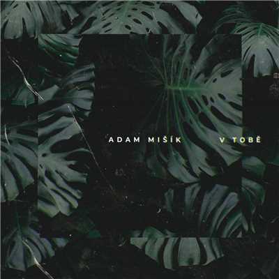 シングル/V Tobe/Adam Misik