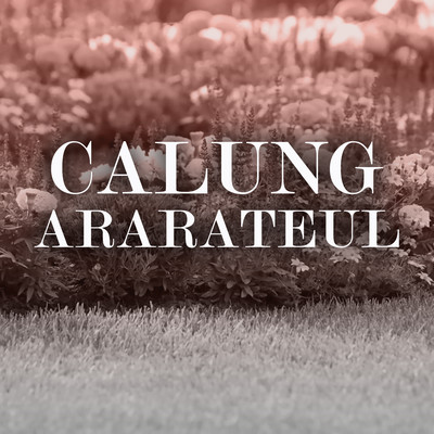 アルバム/Calung Ararateul/Darso