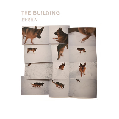 アルバム/PETRA/The Building
