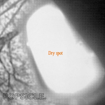 アルバム/Dry Spot/Popsicle