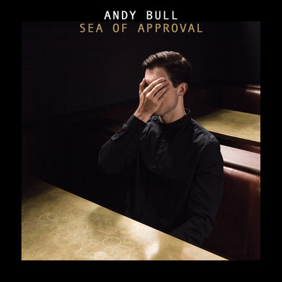 Baby I Am Nobody Now/Andy Bull