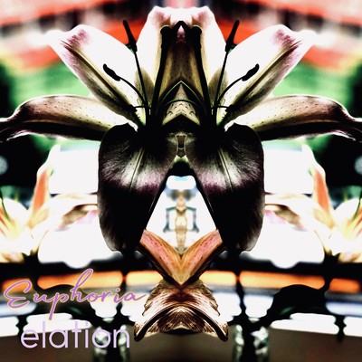 アルバム/elation/Euphoria