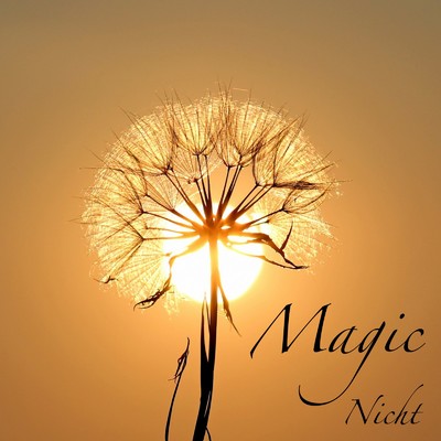 シングル/Magic/Nicht