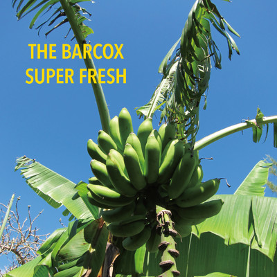 SUPER FRESH/THE BARCOX