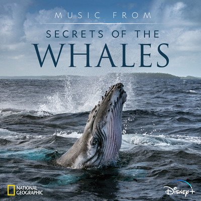 アルバム/Music from Secrets of the Whales (Original Soundtrack)/Raphaelle Thibaut