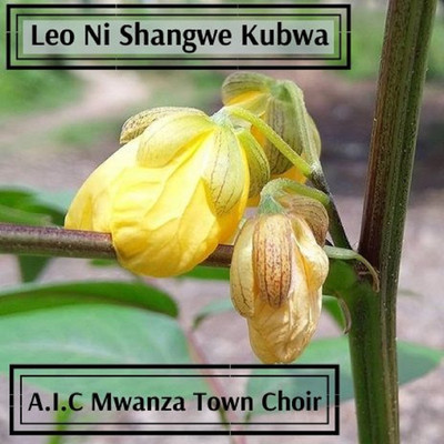 Leo Ni Shangwe Kubwa/A.I.C Mwanza Town Choir