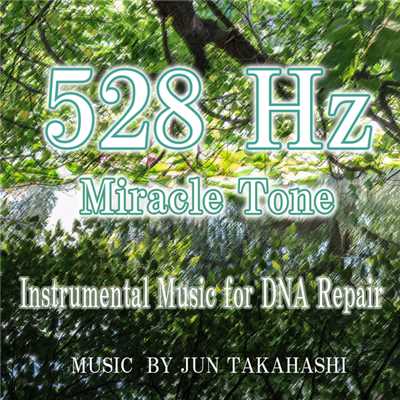 アルバム/528Hz DNAを修復する作業用BGM/JUN TAKAHASHI