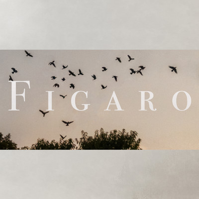 FIGARO/no go