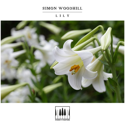 Lily/Simon Woodhill