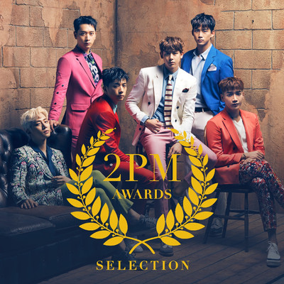 アルバム/2PM AWARDS SELECTION/2PM