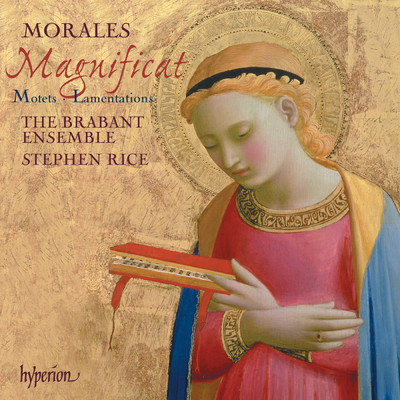 アルバム/Morales: Magnificat, Motets & Lamentations/The Brabant Ensemble／Stephen Rice