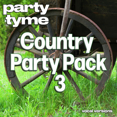 Don't Blink (made popular by Kenny Chesney) [vocal version]/Party Tyme