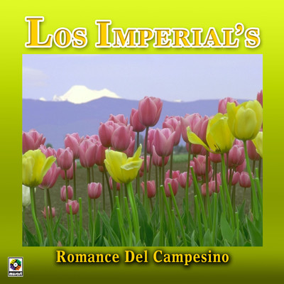 アルバム/Romance Del Campesino/The Imperials