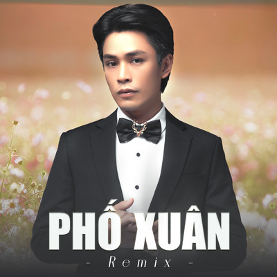 シングル/Pho Xuan  (Remix)/Bao Nam