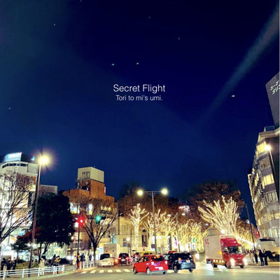 シングル/Secret Flight/Tori to mi's umi.