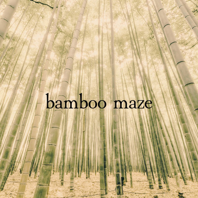bamboo maze/矢代優