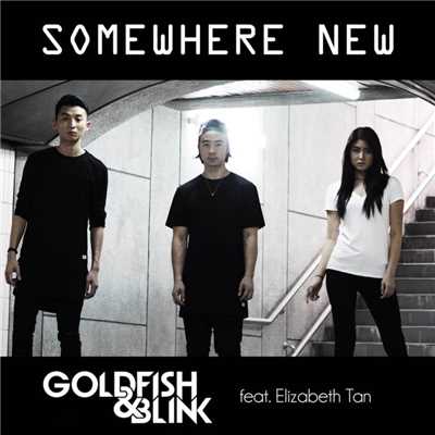 Somewhere New (feat. Elizabeth Tan)/Goldfish & Blink