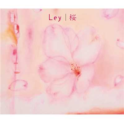 桜/Ley