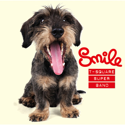 アルバム/Smile/T-SQUARE SUPER BAND