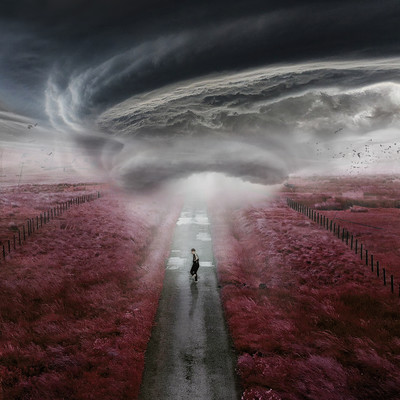 アルバム/The Storm/Dylan Fraser