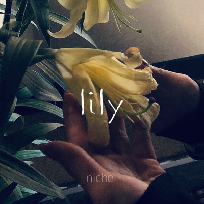 lily/niche