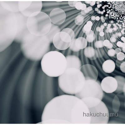 シングル/hakuchuumu/櫻井智子