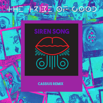 シングル/Siren Song (Cassius Remix)/The Tribe Of Good