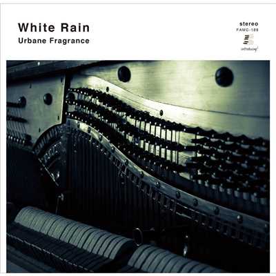 Late/White Rain