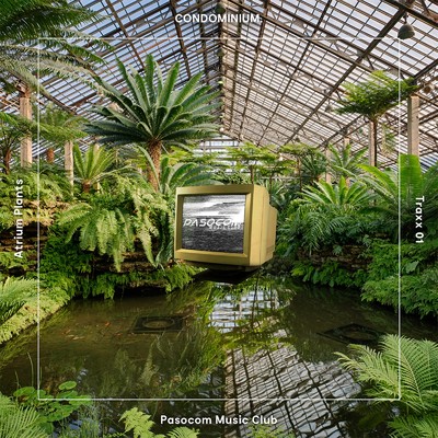 アルバム/CONDOMINIUM. - Atrium Plants/パソコン音楽クラブ