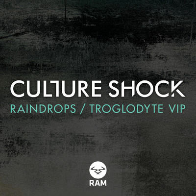アルバム/Raindrops ／ Troglodyte VIP/Culture Shock