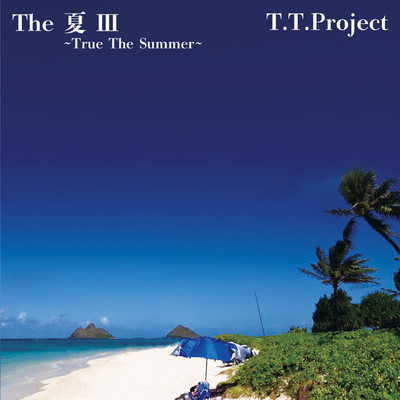 Dreaming The Summer/T.T.Project