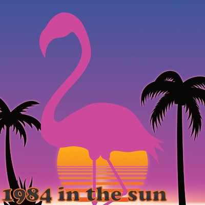 アルバム/1984 in the sun/USUI MICHIRU