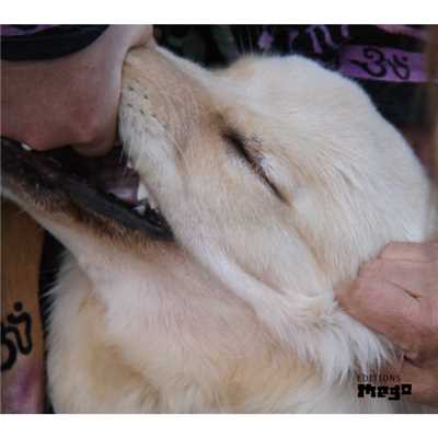 I Just Want You To Stay/Christian Fennesz & Jim O'Rourke