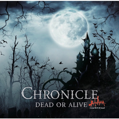 アルバム/Chronicle／DEAD OR ALIVE/AKARA
