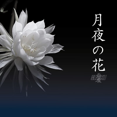 月夜の花/朱雀-SUZAKU-