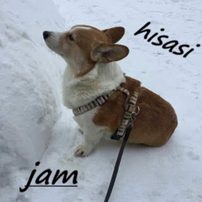 JAM/Hisasi