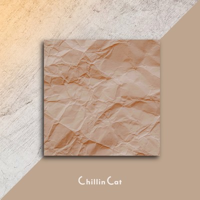 シングル/Feel It/Chillin Cat