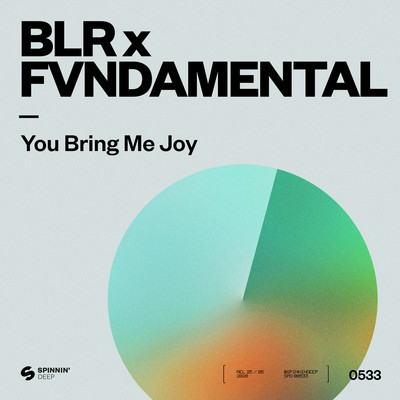 You Bring Me Joy/BLR x FVNDAMENTAL