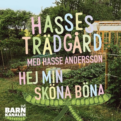 アルバム/Hej min skona bona/Hasse Andersson