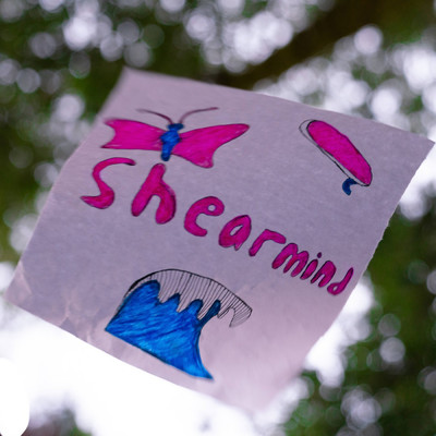 Shearmind (feat. Scott Amendola, Zachary Ostroff & Zak Moses )/Big Butterfly