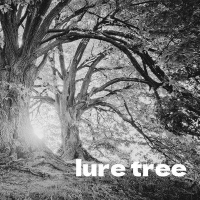 lure tree/矢代優