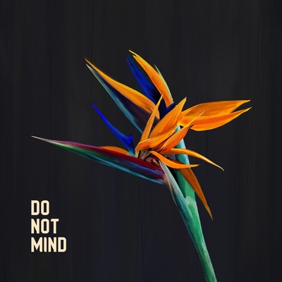 シングル/DO NOT MIND (feat. LazyWii & Ganafii)/GENKI AMAZING