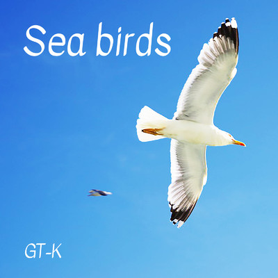 シングル/Sea birds/GT-K